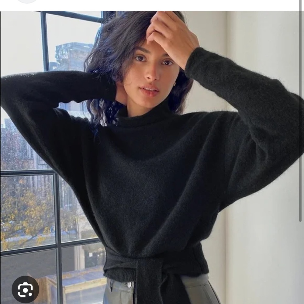 Aritzia Wilfred Lorin Sweater